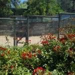 Francisca Ortúzar Profile Picture