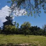 Pamela Cáceres Profile Picture